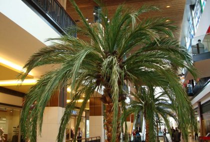 FORUM TRABZON
